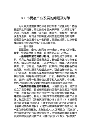 XX市民宿产业发展的问题及对策