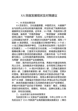 XX民宿发展现状及对策建议