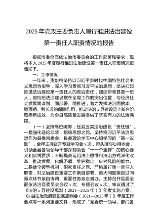 2025年党政主要负责人履行推进法治建设第一责任人职责情况的报告