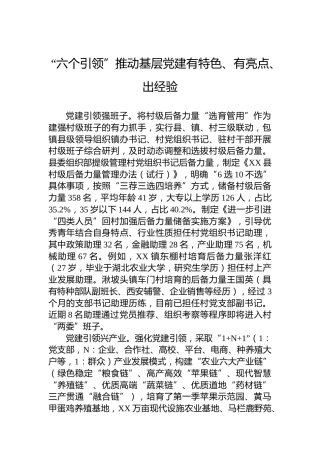 “六个引领”推动基层党建有特色、有亮点、出经验