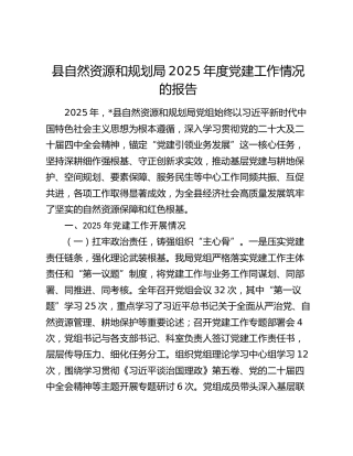 县自然资源和规划局2025年度党建工作情况的报告