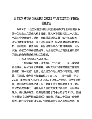 县自然资源和规划局2025年度党建工作情况的报告（2）
