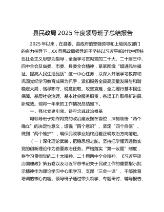 县民政局2025年度领导班子总结报告