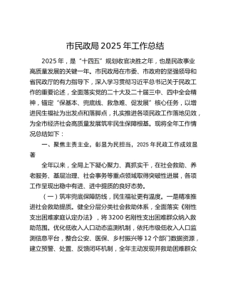 市民政局2025年工作总结