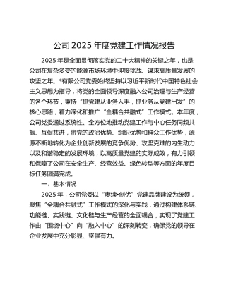 公司2025年度党建工作情况报告