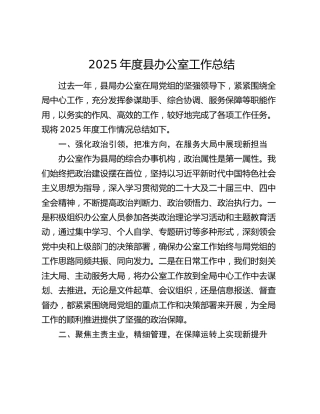 2025年度县办公室工作总结