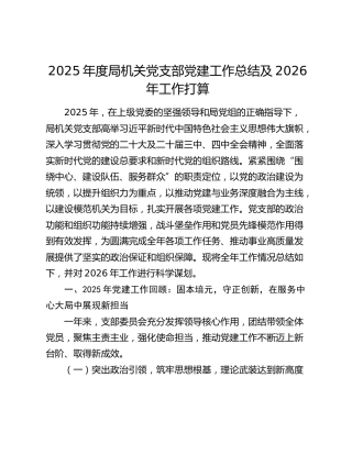 2025年度局机关党支部党建工作总结及2026年工作打算