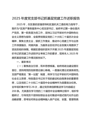 2025年度党支部书记抓基层党建工作述职报告（5）