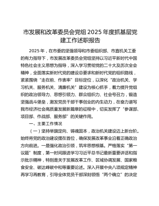 市发展和改革委员会党组2025年度抓基层党建工作述职报告