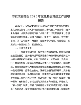 市发改委党组2025年度抓基层党建工作述职报告
