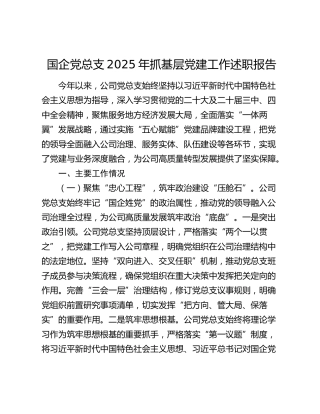 国企党总支2025年抓基层党建工作述职报告