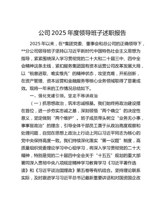 公司2025年度领导班子述职报告
