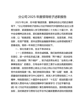 分公司2025年度领导班子述职报告
