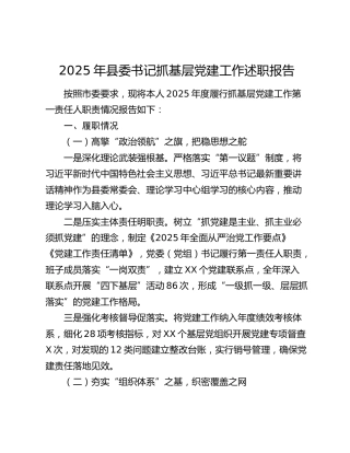 2025年县委书记抓基层党建工作述职报告