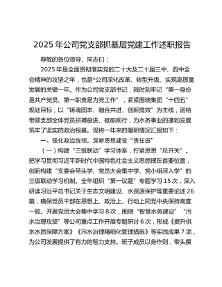 2025年公司党支部抓基层党建工作述职报告