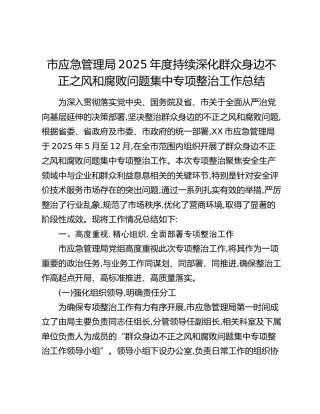 市应急管理局2025年度持续深化群众身边不正之风和腐败问题集中专项整治工作总结