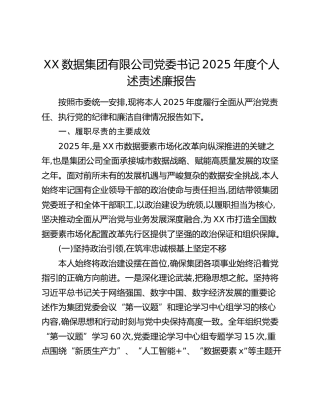 XX数据集团有限公司党委书记2025年度个人述责述廉报告