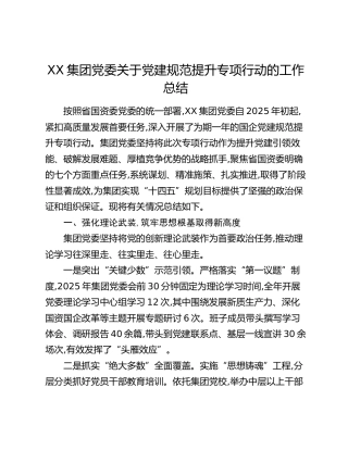 XX集团党委关于党建规范提升专项行动的工作总结