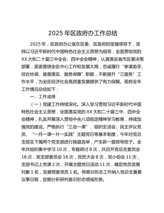 2025年区政府办工作总结