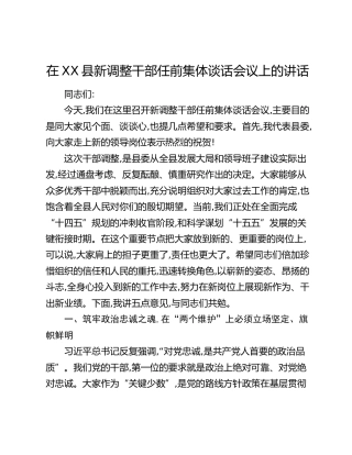 在XX县新调整干部任前集体谈话会议上的讲话