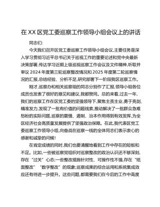 在XX区党工委巡察工作领导小组会议上的讲话
