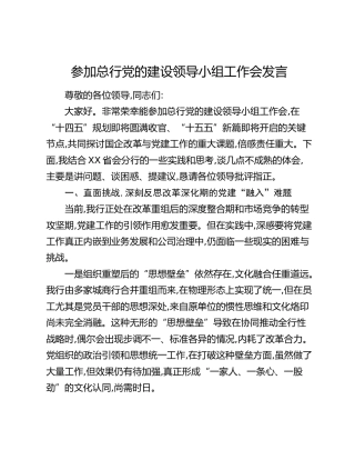参加总行党的建设领导小组工作会发言