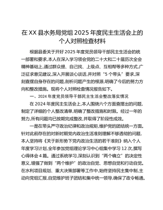 在XX县水务局党组2025年度民主生活会上的个人对照检查材料（五个带头）