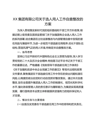 XX集团有限公司关于选人用人工作自查整改的方案