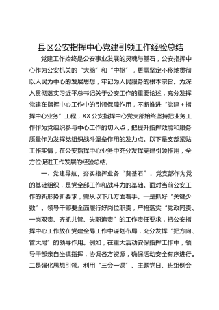 县区公安指挥中心党建引领工作经验总结