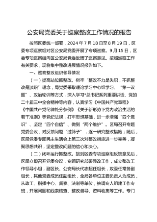 公安局党委关于巡察整改工作情况的总结报告