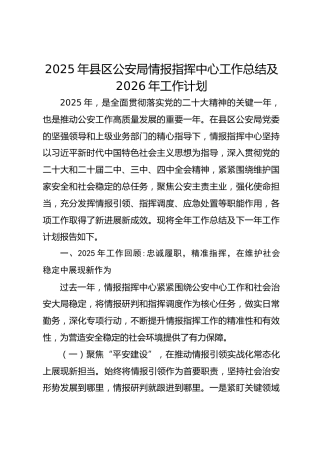 2025年县区公安局情报指挥中心工作总结及2026年工作计划
