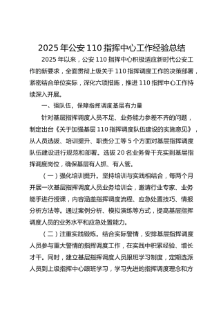 2025年公安110指挥中心工作经验总结