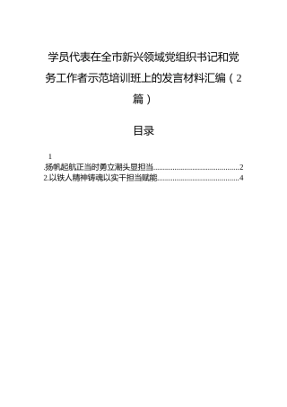 学员代表在全市新兴领域党组织书记和党务工作者示范培训班上的发言材料汇编（2篇）