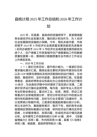 县统计局2025年工作总结和2026年工作计划