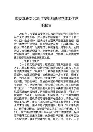 市委政法委2025年度抓抓基层党建工作述职报告