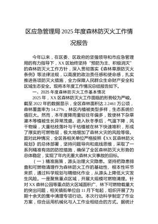 区应急管理局2025年度森林防灭火工作情况报告