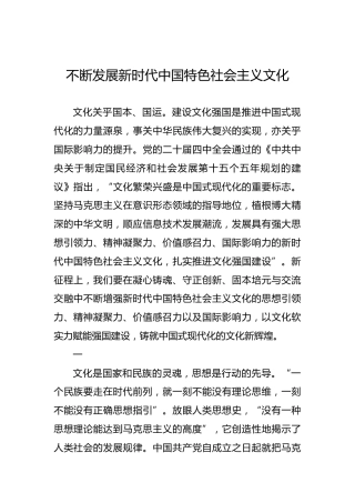 不断发展新时代中国特色社会主义文化