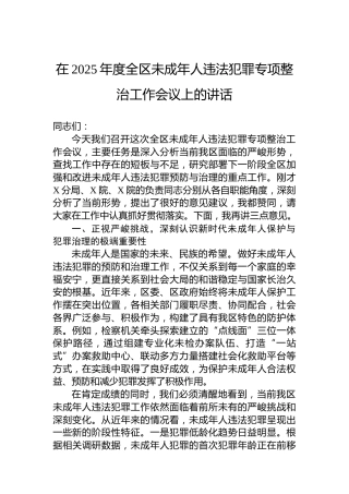 在2025年度全区未成年人违法犯罪专项整治工作会议上的讲话