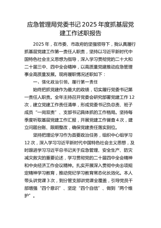 应急管理局书记2025年度抓党建工作述职报告3300字