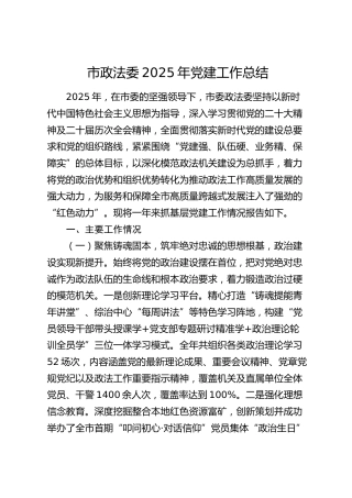 市政法委2025年党建工作总结