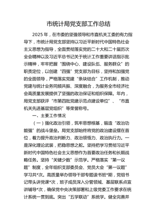 市统计局党支部2025年度工作报告（党建总结）