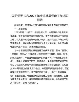 公司党委书记2025年度抓党建工作述职报告
