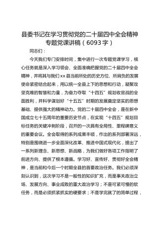 县委书记在学习贯彻党的二十届四中全会精神专题党课讲稿