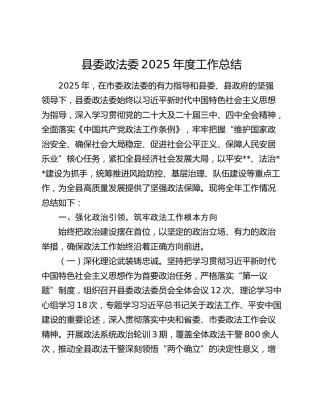 县委政法委2025年度工作总结