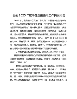 县委2025年度干部选拔任用工作情况报告