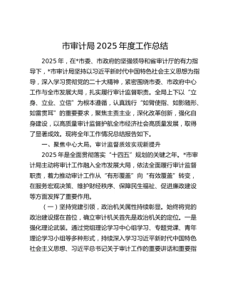 市审计局2025年度工作总结