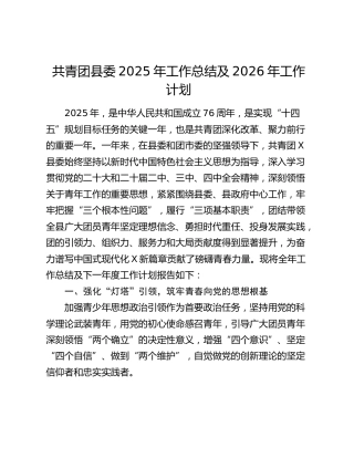 共青团县委2025年工作总结及2026年工作计划