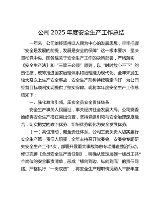 公司2025年度安全生产工作总结