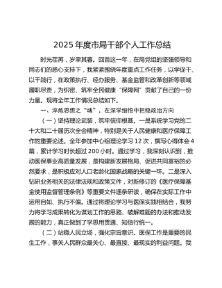 2025年度市局干部个人工作总结