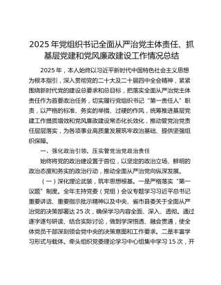 2025年党组织书记全面从严治党主体责任、抓基层党建和党风廉政建设工作情况总结